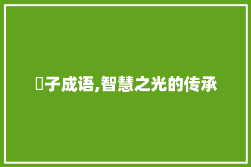 淏子成语,智慧之光的传承