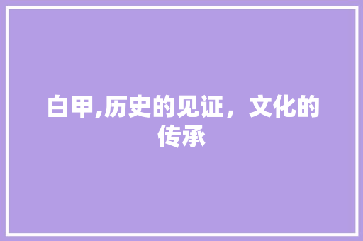 白甲,历史的见证，文化的传承