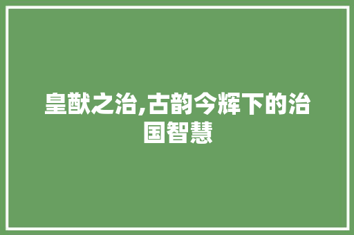 皇猷之治,古韵今辉下的治国智慧