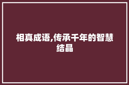 相真成语,传承千年的智慧结晶