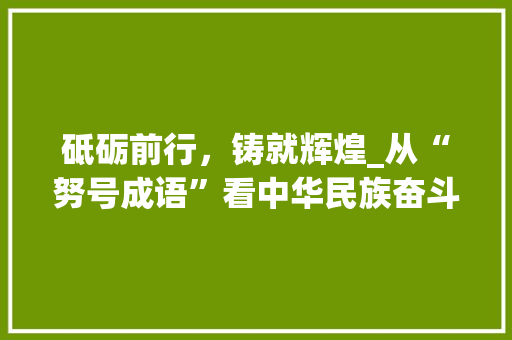 砥砺前行，铸就辉煌_从“努号成语”看中华民族奋斗精神