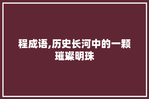 程成语,历史长河中的一颗璀璨明珠