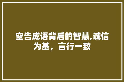 空告成语背后的智慧,诚信为基，言行一致