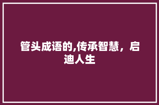 管头成语的,传承智慧，启迪人生