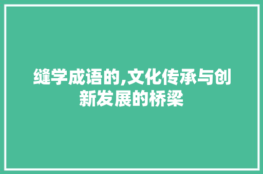 缝学成语的,文化传承与创新发展的桥梁