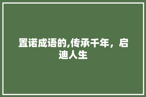 置诺成语的,传承千年，启迪人生