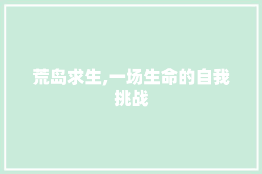 荒岛求生,一场生命的自我挑战