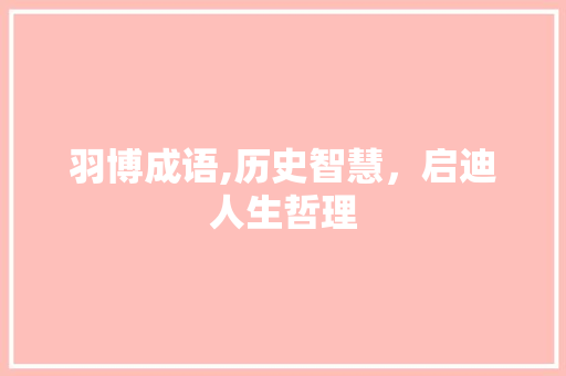 羽博成语,历史智慧，启迪人生哲理