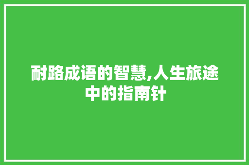 耐路成语的智慧,人生旅途中的指南针