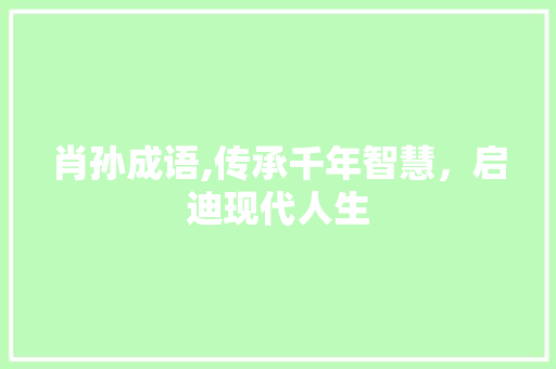 肖孙成语,传承千年智慧，启迪现代人生