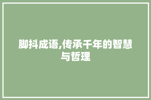 脚抖成语,传承千年的智慧与哲理