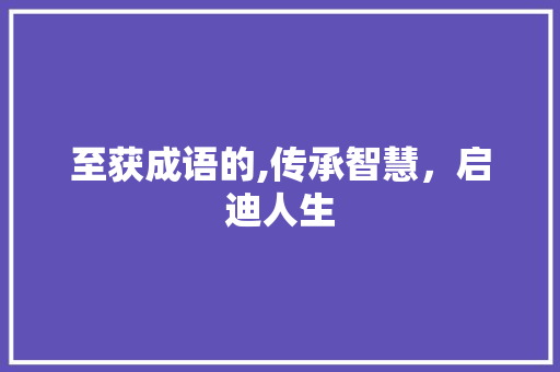 至获成语的,传承智慧，启迪人生