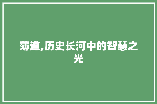 薄道,历史长河中的智慧之光