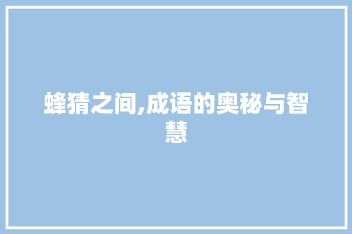 蜂猜之间,成语的奥秘与智慧