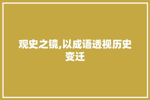 观史之镜,以成语透视历史变迁