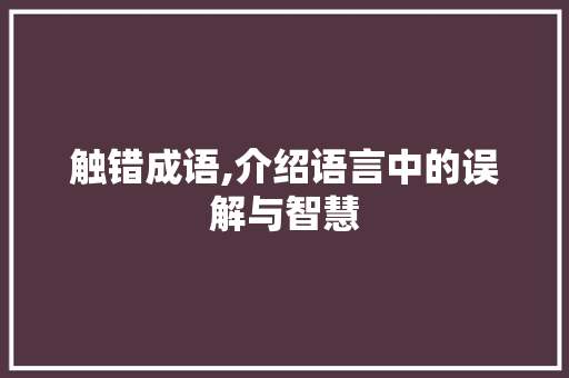 触错成语,介绍语言中的误解与智慧
