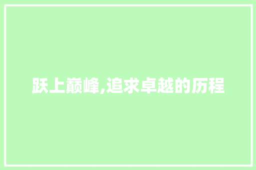 跃上巅峰,追求卓越的历程