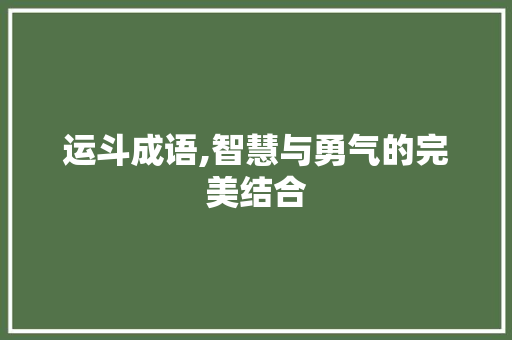 运斗成语,智慧与勇气的完美结合