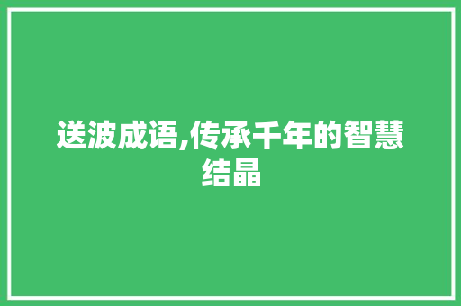 送波成语,传承千年的智慧结晶