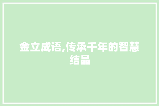 金立成语,传承千年的智慧结晶