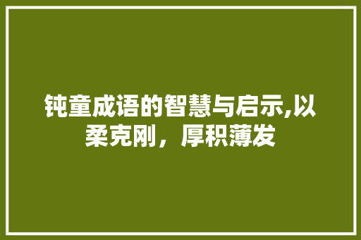 钝童成语的智慧与启示,以柔克刚，厚积薄发