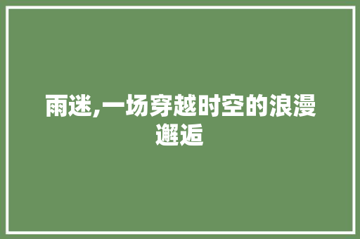 雨迷,一场穿越时空的浪漫邂逅