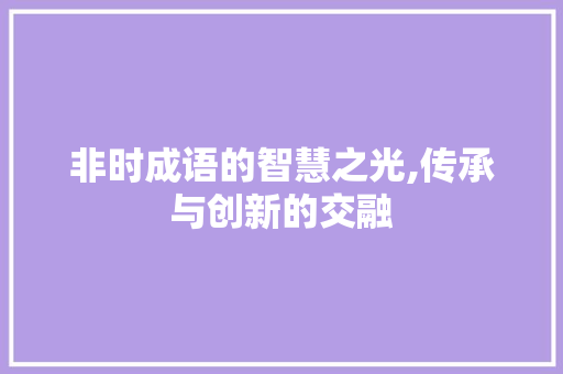 非时成语的智慧之光,传承与创新的交融