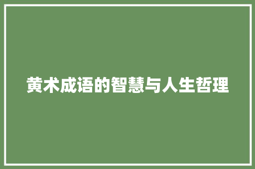 黄术成语的智慧与人生哲理