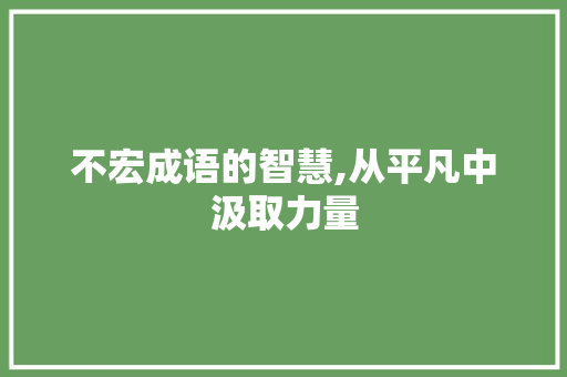 不宏成语的智慧,从平凡中汲取力量