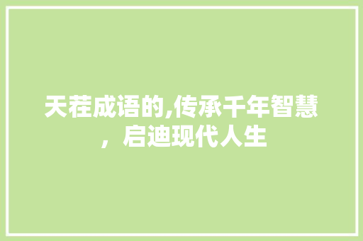 天茬成语的,传承千年智慧，启迪现代人生