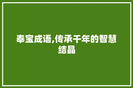 奉宝成语,传承千年的智慧结晶