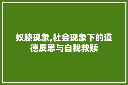 奴膝现象,社会现象下的道德反思与自我救赎