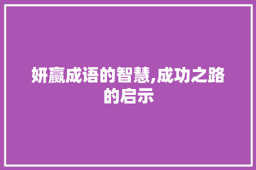 妍赢成语的智慧,成功之路的启示