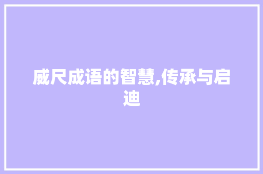 威尺成语的智慧,传承与启迪