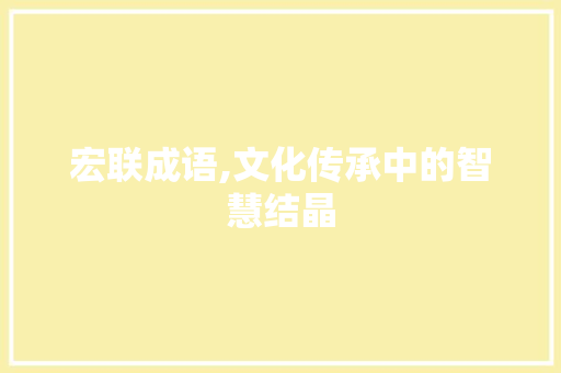 宏联成语,文化传承中的智慧结晶