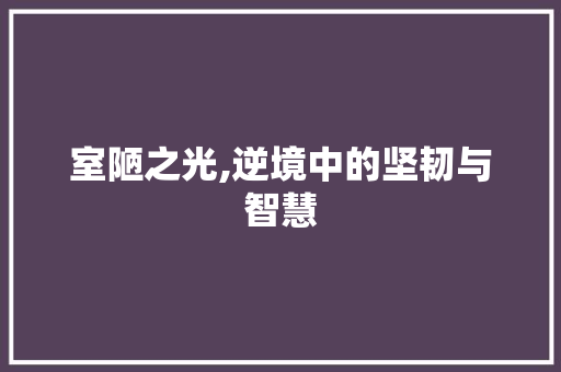 室陋之光,逆境中的坚韧与智慧