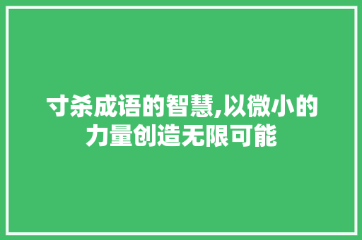 寸杀成语的智慧,以微小的力量创造无限可能