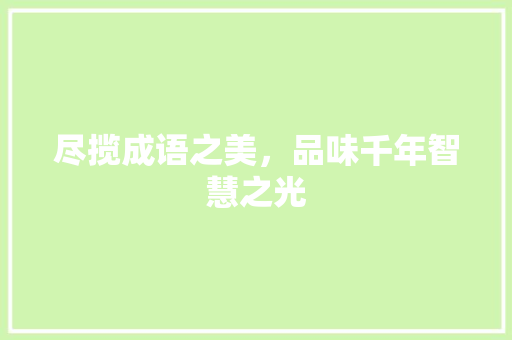 尽揽成语之美，品味千年智慧之光