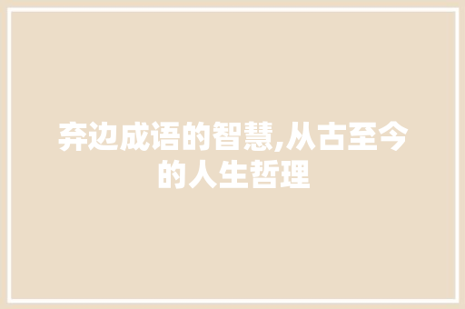 弃边成语的智慧,从古至今的人生哲理