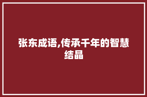 张东成语,传承千年的智慧结晶