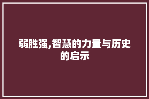 弱胜强,智慧的力量与历史的启示