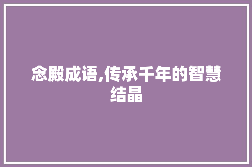 念殿成语,传承千年的智慧结晶
