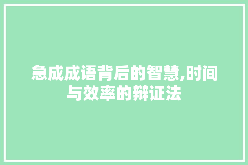 急成成语背后的智慧,时间与效率的辩证法
