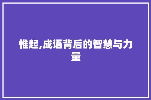 惟起,成语背后的智慧与力量