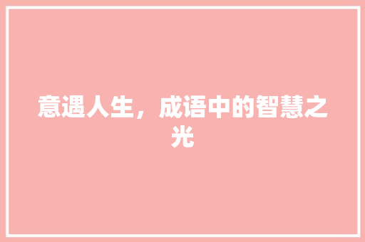 意遇人生，成语中的智慧之光