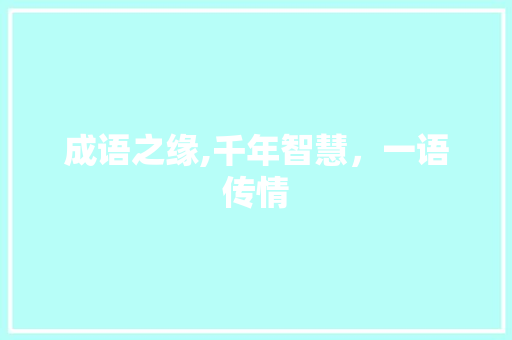 成语之缘,千年智慧，一语传情