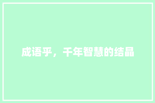 成语乎，千年智慧的结晶