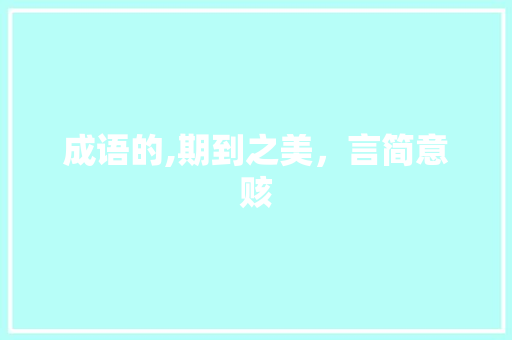 成语的,期到之美，言简意赅