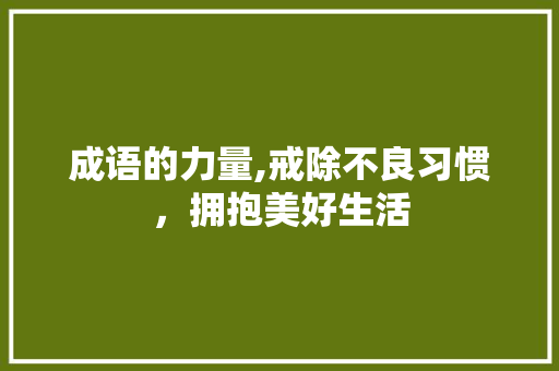 成语的力量,戒除不良习惯，拥抱美好生活