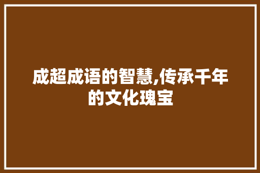 成超成语的智慧,传承千年的文化瑰宝